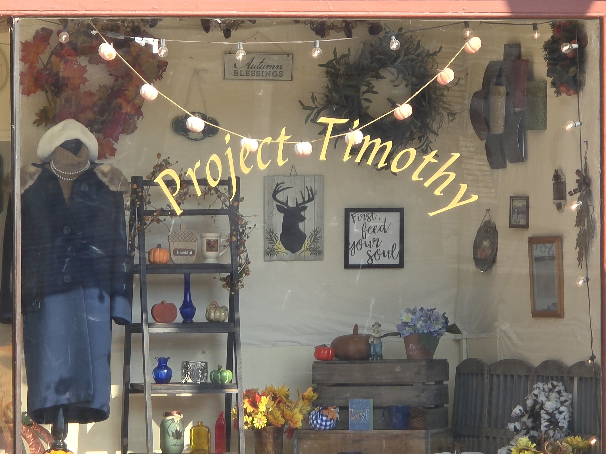 Project Timothy window sign inside All Saints Thrift Store